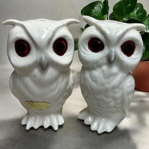 Vintage Bone China White Owl s/Big Eyes Salt and Pepper Shakers